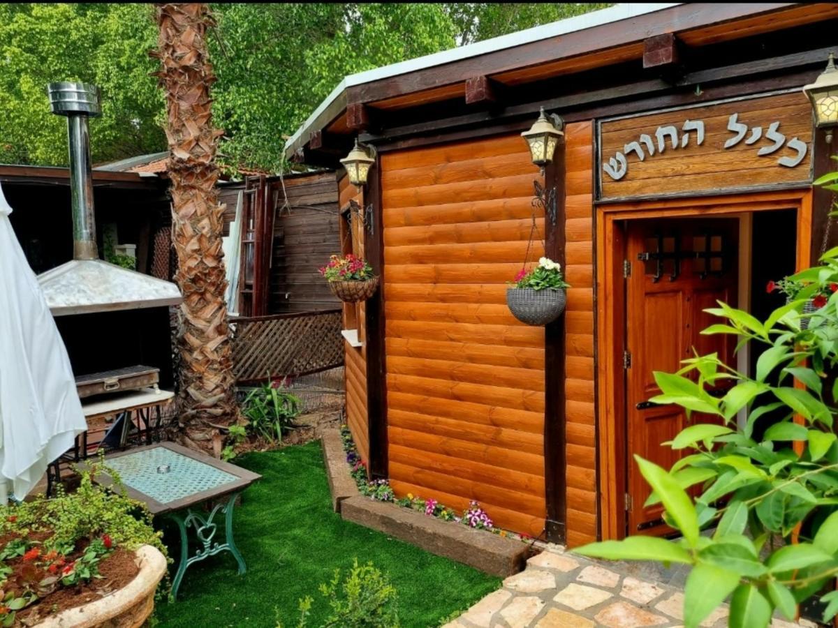 Вилла The Pearl Of The Golan - Pnina Bagolan Хад-Нес Экстерьер фото